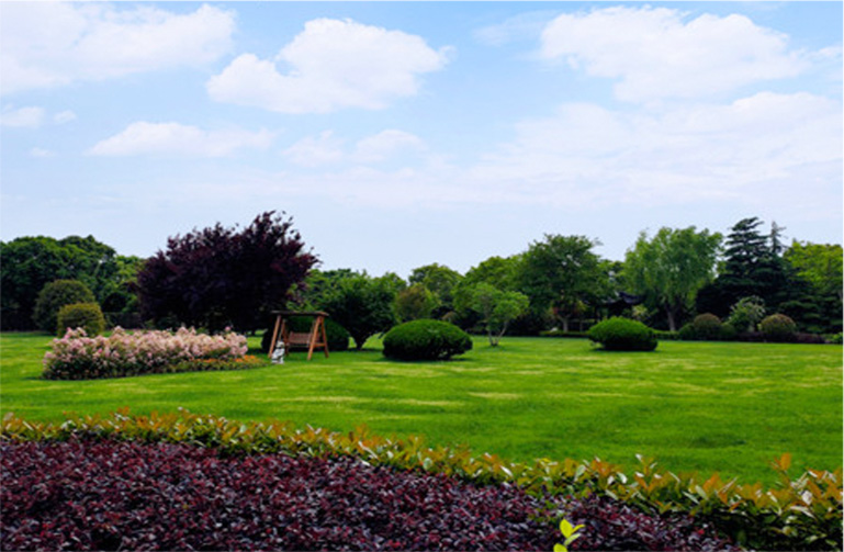 1765792661431252.png 墓地风水.png