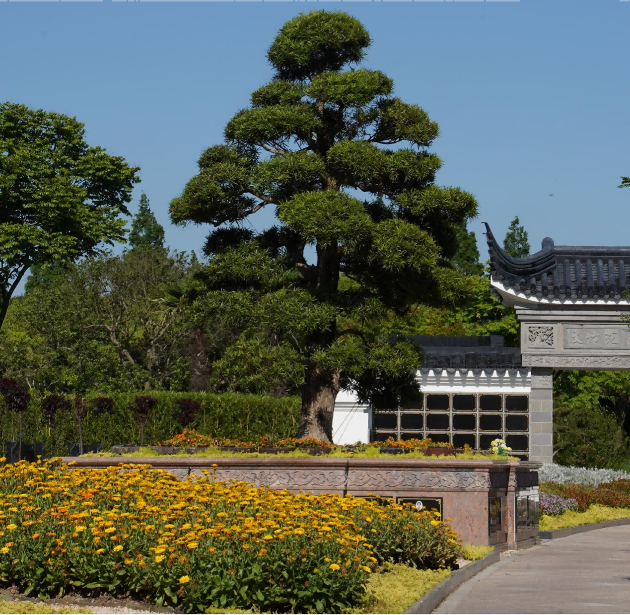 1765793575722639.png 生态葬.png