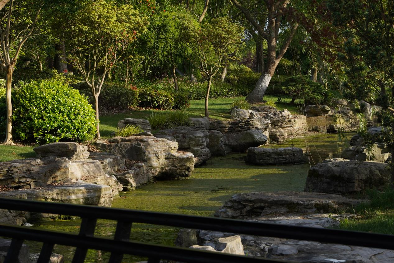 1765793660518412.png 草坪葬.png