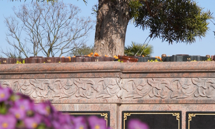 1772181463178652.png 瀛新园树葬.png