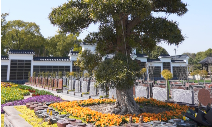 1772181496356869.png 瀛新园树葬.png