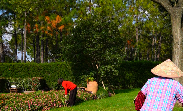 1772181542576968.png 瀛新园专人植株养护.png