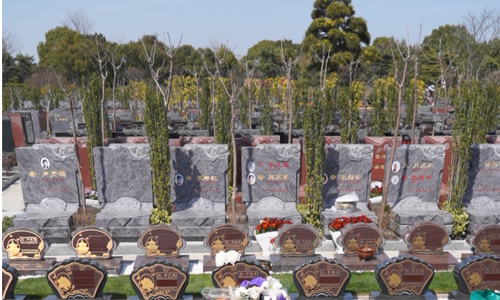 1782203847984997.png 瀛新园墓地墓型.png