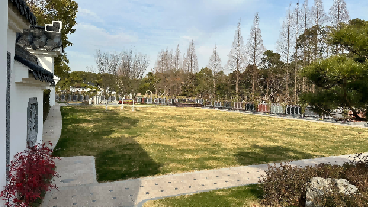 瀛新园树葬环境.png